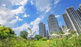 惠州爆料最新,揭秘惠州最新热点事件！